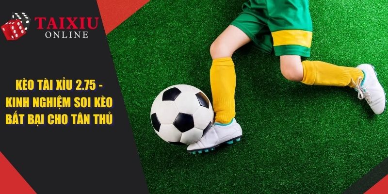Kèo Tài Xỉu 2.75 - Kinh Nghiệm Soi Kèo Bất Bại Cho Cược Thủ