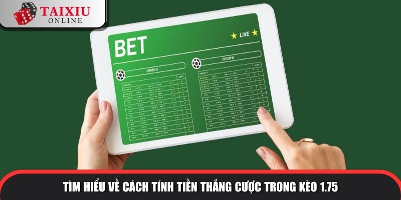 Tìm hiểu về cách tính tiền thắng cược trong kèo 1.75