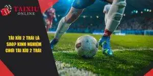 Tài Xỉu 2 Trái Là Sao? Bỏ Túi Mẹo Chơi Luôn Chiến Thắng