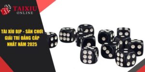 Tài Xỉu Bịp - Đôi Nét Thuật Ngữ Tài Xỉu Xanh Chín Nhất 2025