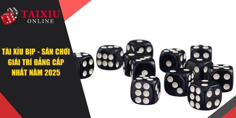 Tài Xỉu Bịp - Đôi Nét Thuật Ngữ Tài Xỉu Xanh Chín Nhất 2025